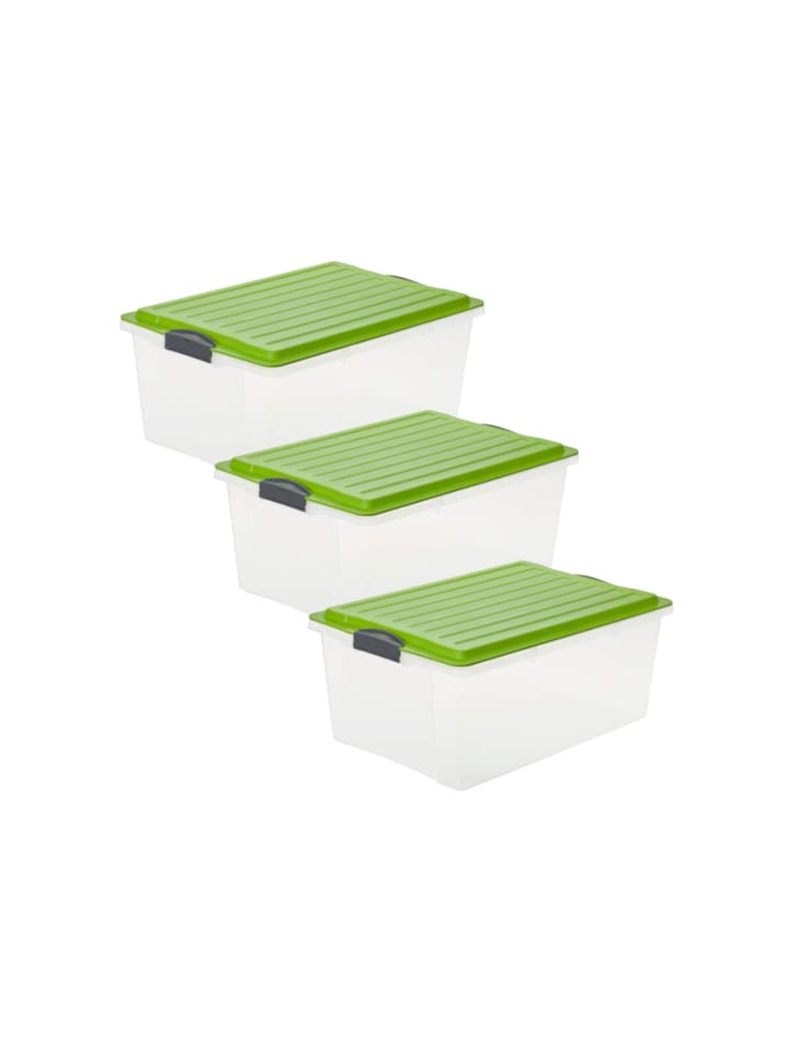 Rotho Compact 3er-Set Aufbewahrungsbox 38l mit Deckel in Grün günstig kaufen onesize