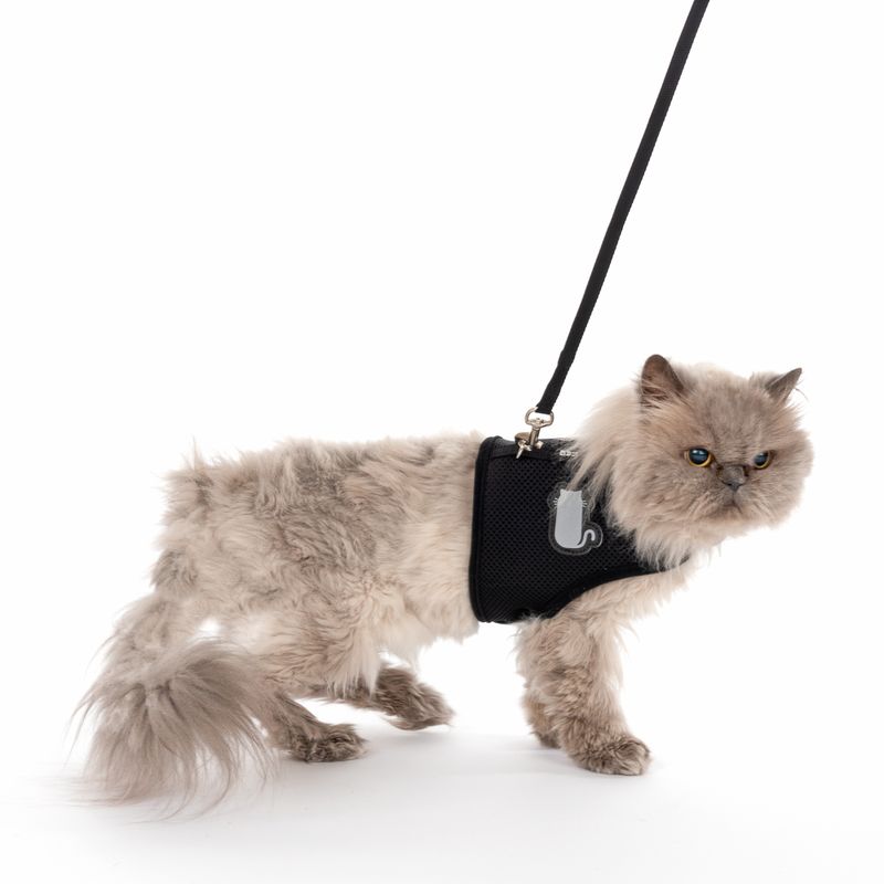 TIAKI Katzengeschirr Comfy mit Leine zu TOP-Preisen