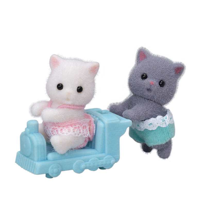 5457 Les jumeaux chat persan