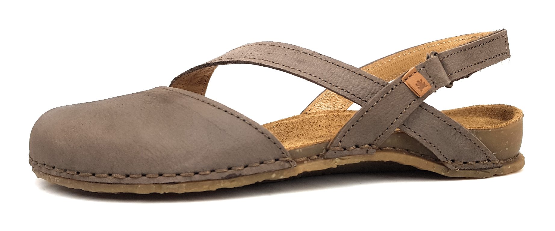 El Naturalista Pangloa N5813 Braun Plume