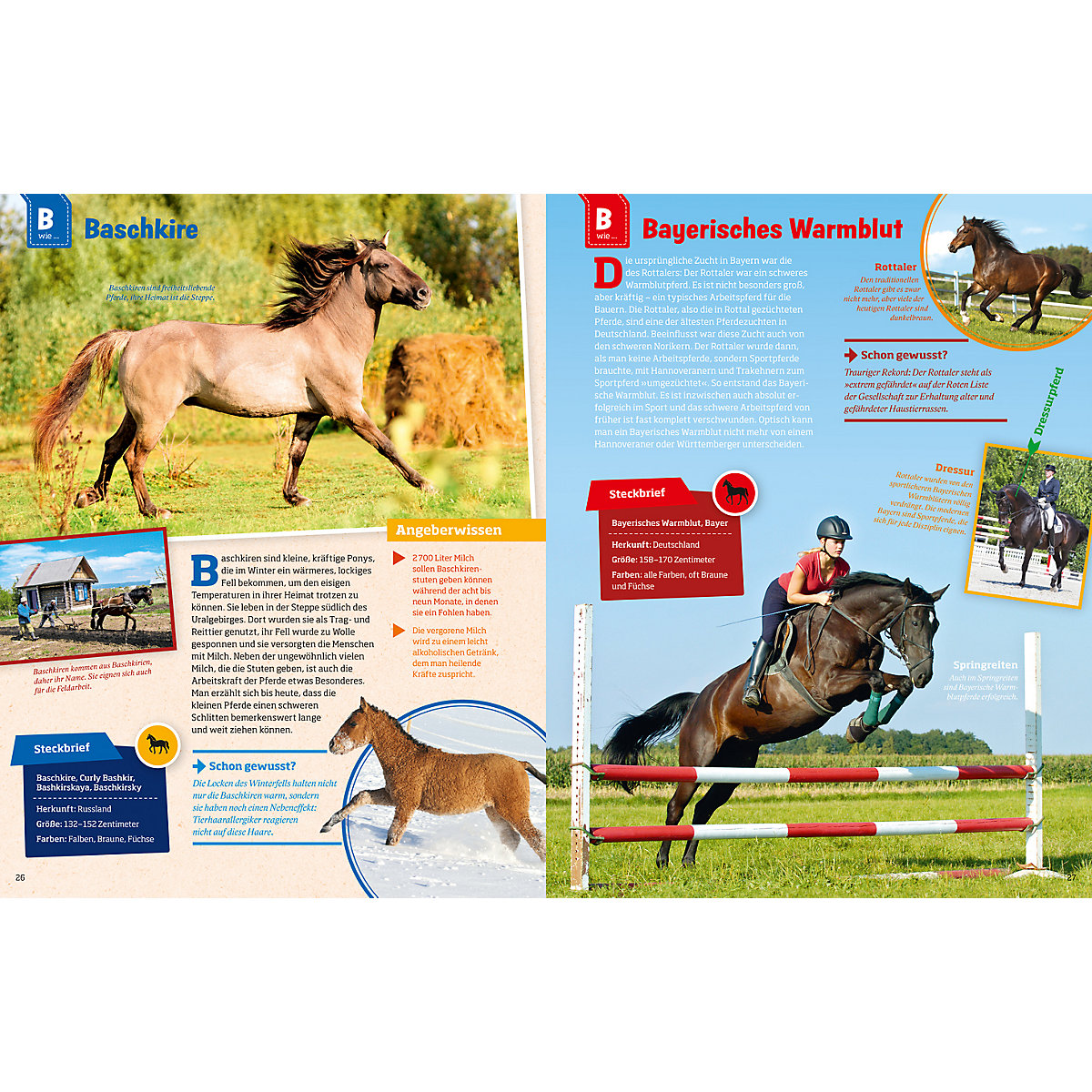 Was ist Was: Pferde und Ponys