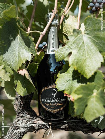 Billecart-Salmon : Cuvée Nicolas François Billecart 2002
