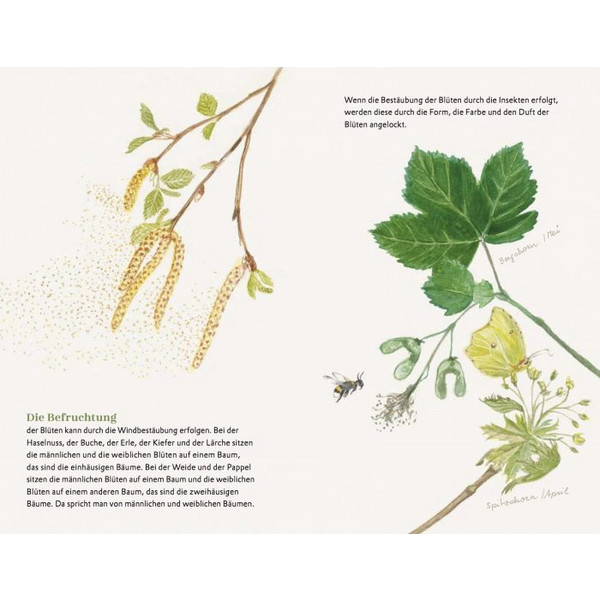 Die kleine Waldfibel - Kinderbuch