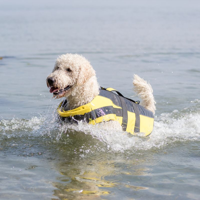 Trixie Schwimmweste für Hunde zu TOP-Preisen