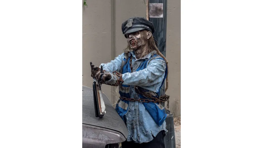 The Walking Dead - Staffel 10  [6 BRs]