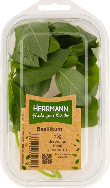 Basilikum