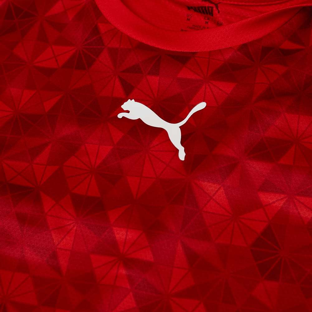 PUMA Herren Handball Trikot 764583-02
