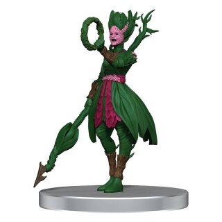 Pathfinder Battles Miniaturen: Impossible Lands - Heroes and Villains Boxed Set (8) (pre-painted)