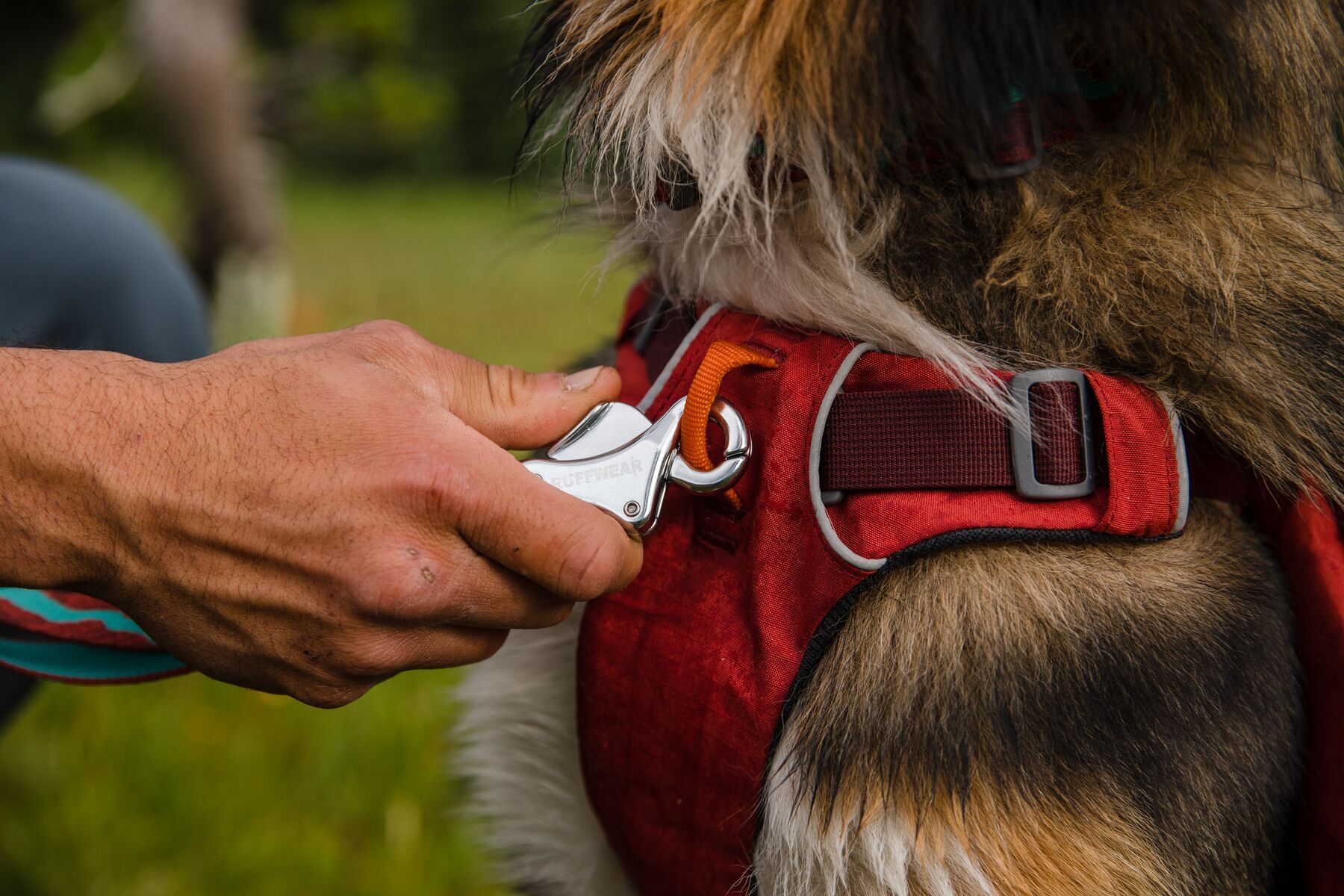 Ruffwear Hundeleinen Ruffwear Flat Out™ Leine grün