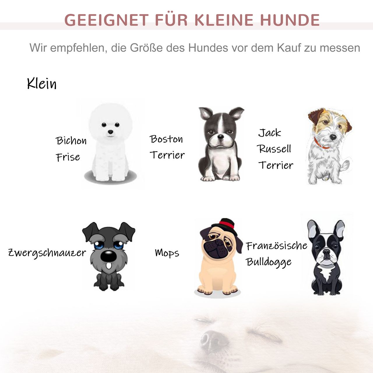 PawHut Haustiersofa Hundematte Katzen Sofa mit Kissen Plüsch Rosa