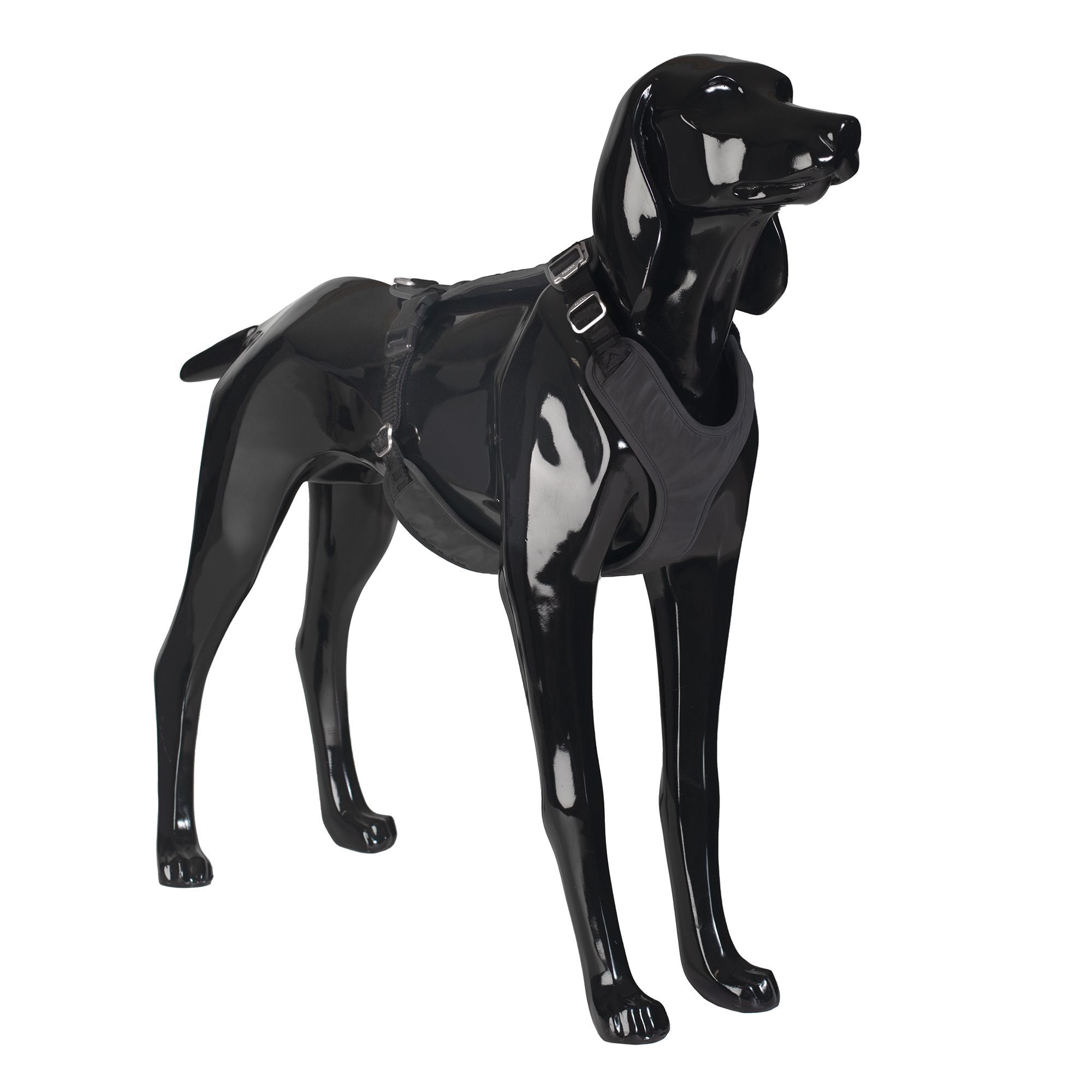 Paikka Hundegeschirre Paikka Visibility Harness dark XS