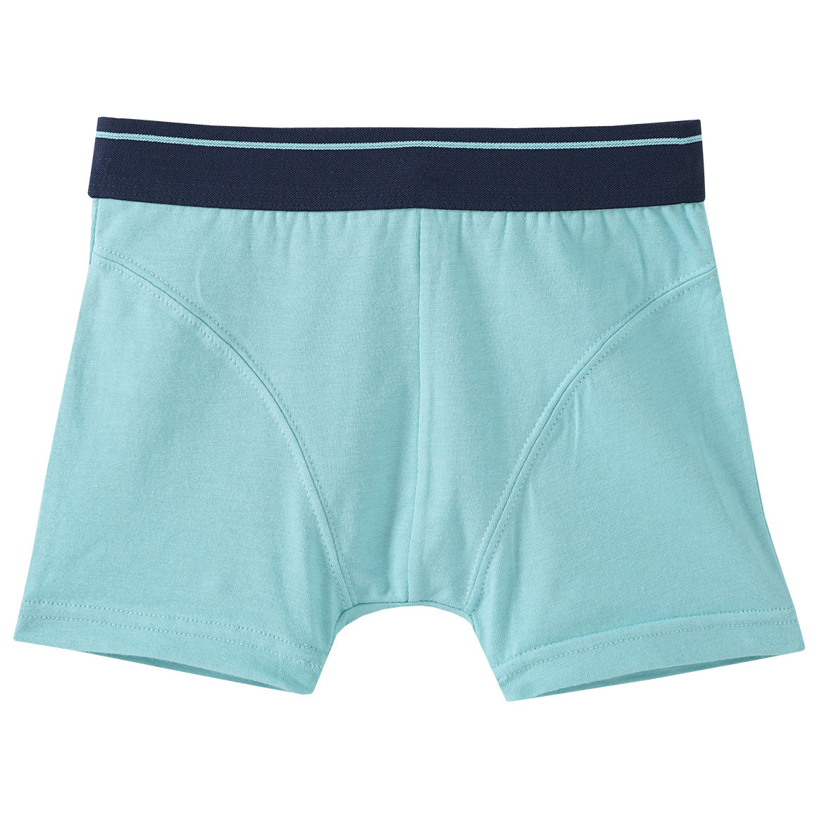 3 Jungen Boxer mit Webbund