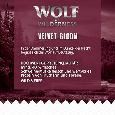 Wolf of Wilderness 