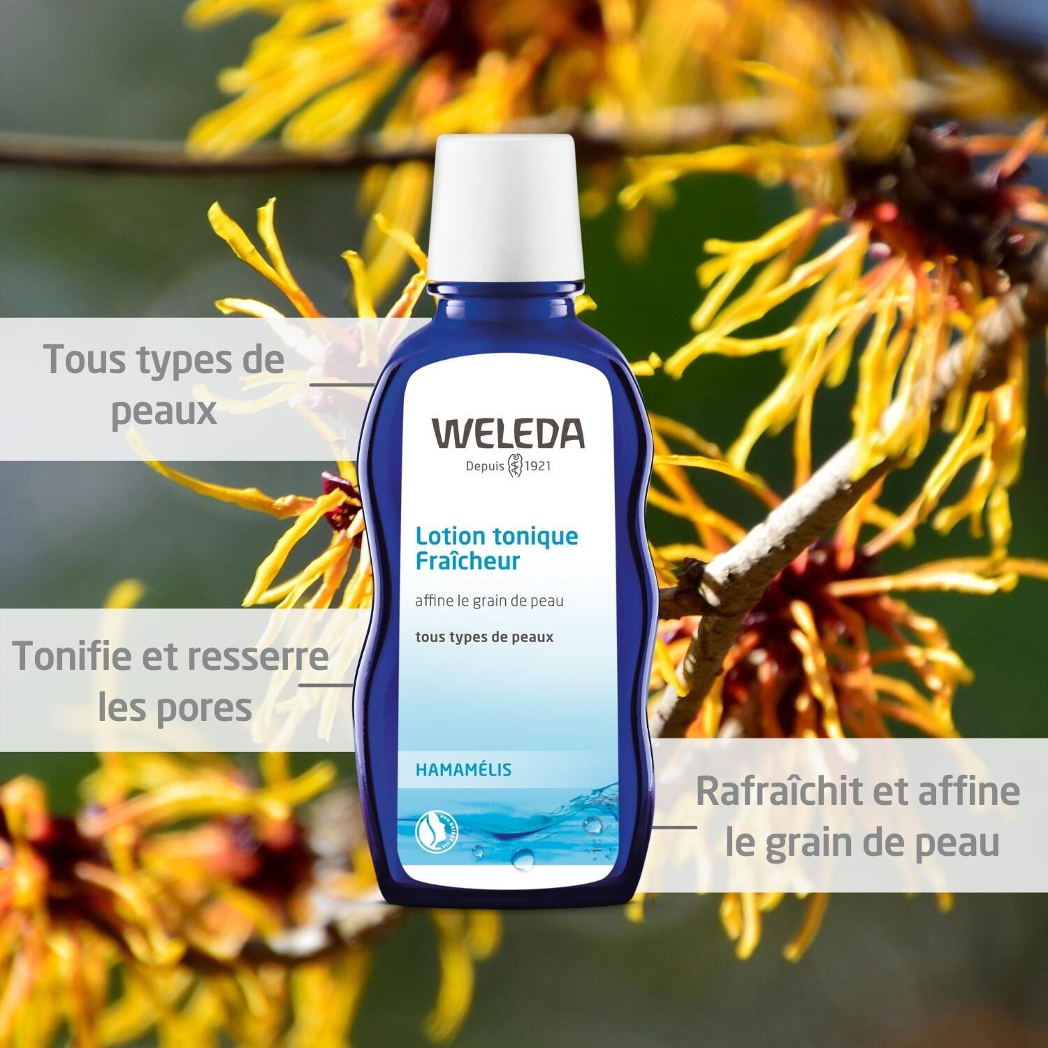 Weleda Lotion Tonique Fraîcheur Rafraîchit et Affine le Grain de Peau - Tous Types de Peaux - 100 ml