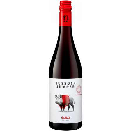 WILD BOAR GAMAY 2019 - TUSSOCK JUMPER