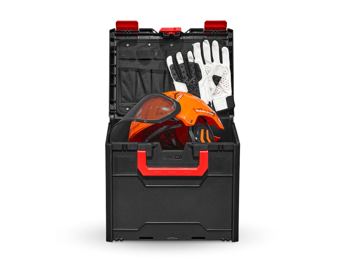 SET: Forsthelm Protos + STRAUSSbox 340 midi