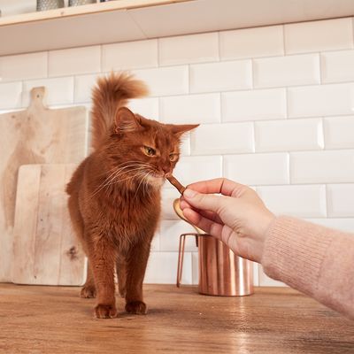 GimCat Sticks