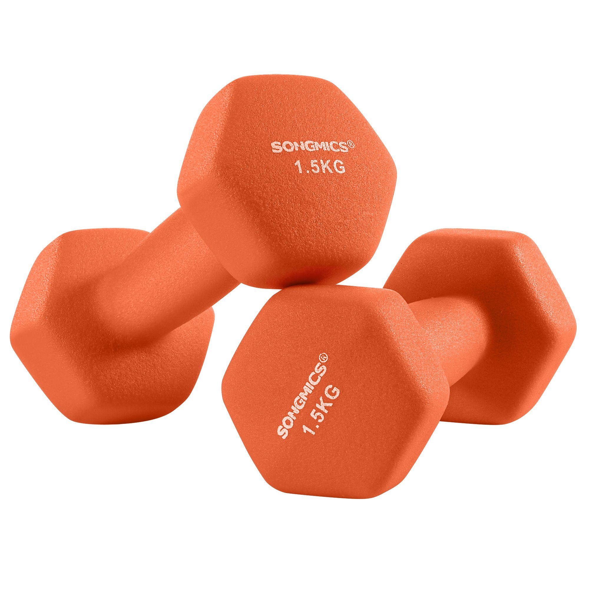 SONGMICS Kurzhantel Kurzhanteln, 2er Set, Krafttraining, zu Hause, Büro