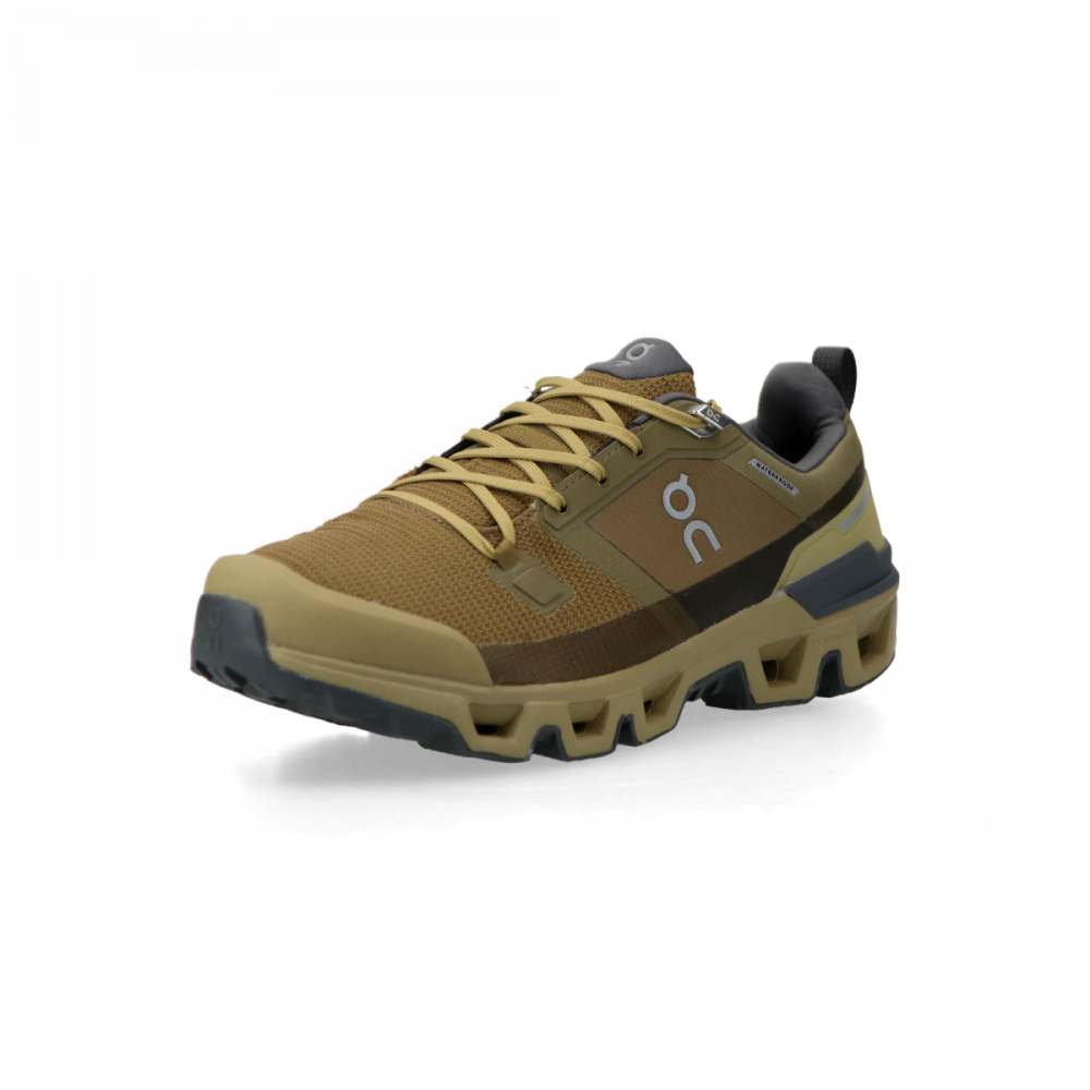 ON Cloudwander Waterproof 73.97822 / braun