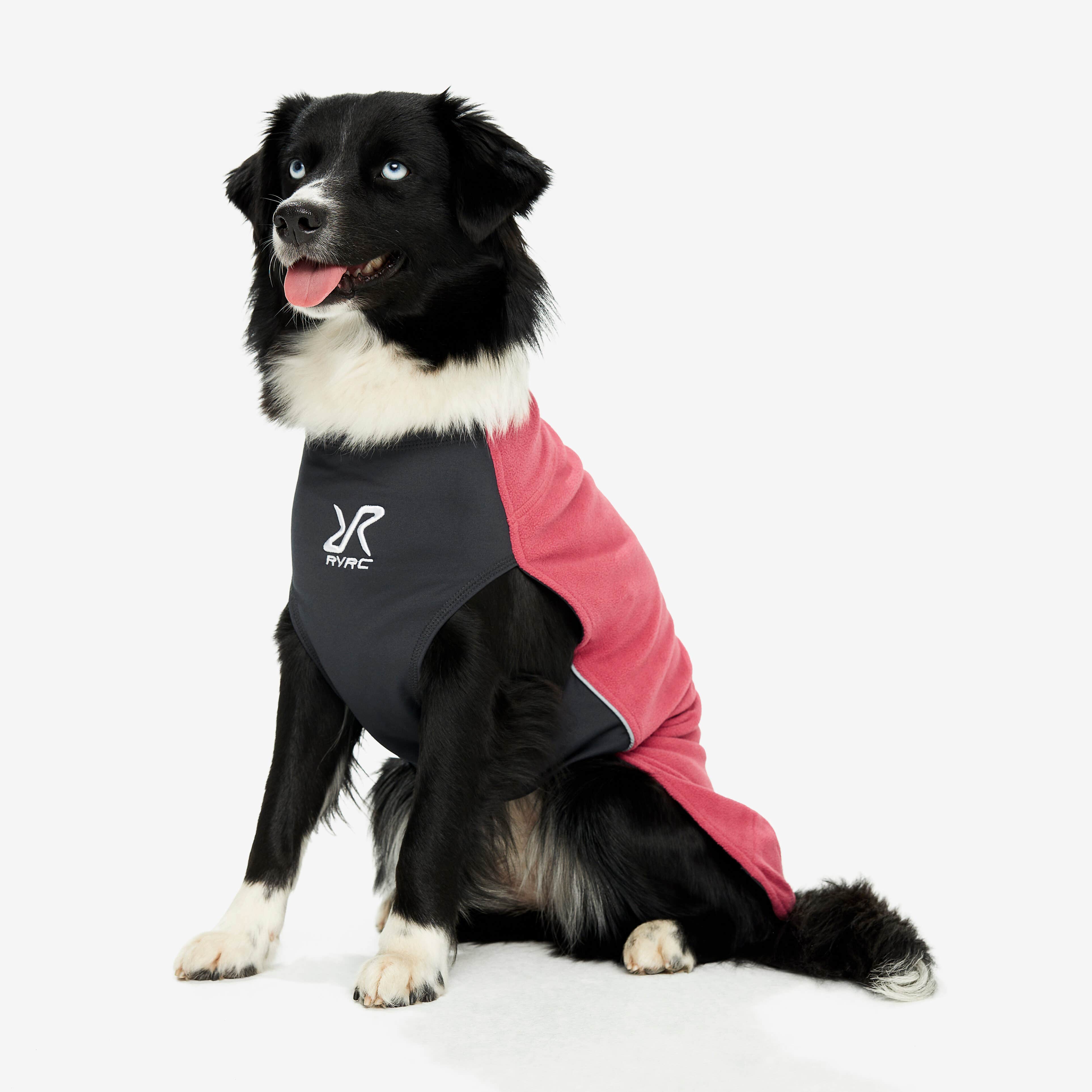 Trekker Fleece Chien Holly Berry