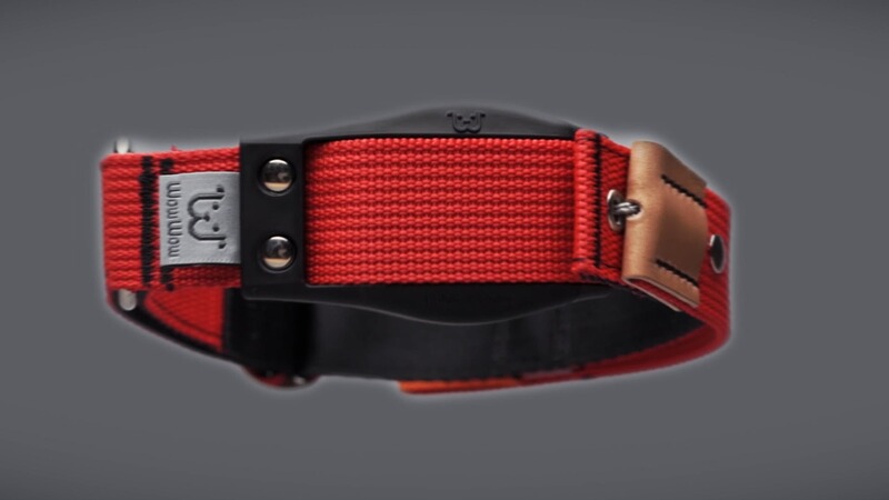 WowWow Hundehalsband Professional