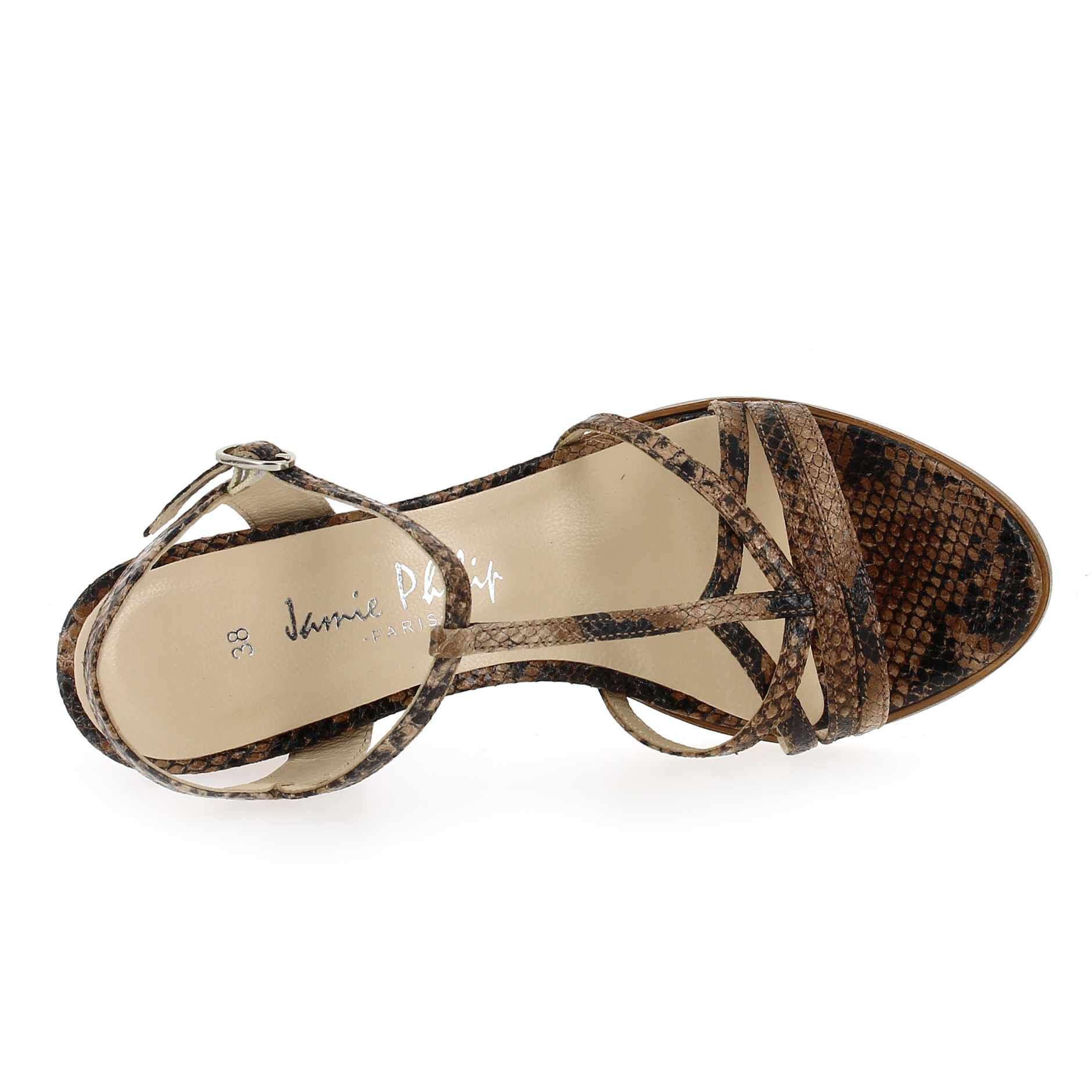 Janie Philip  GAMA - Camel Python
