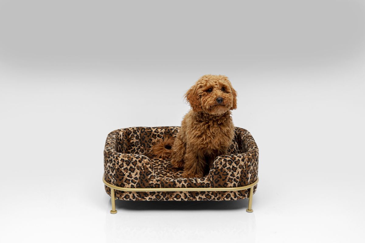 KARE Hund-/Katzenbett Diva Leo