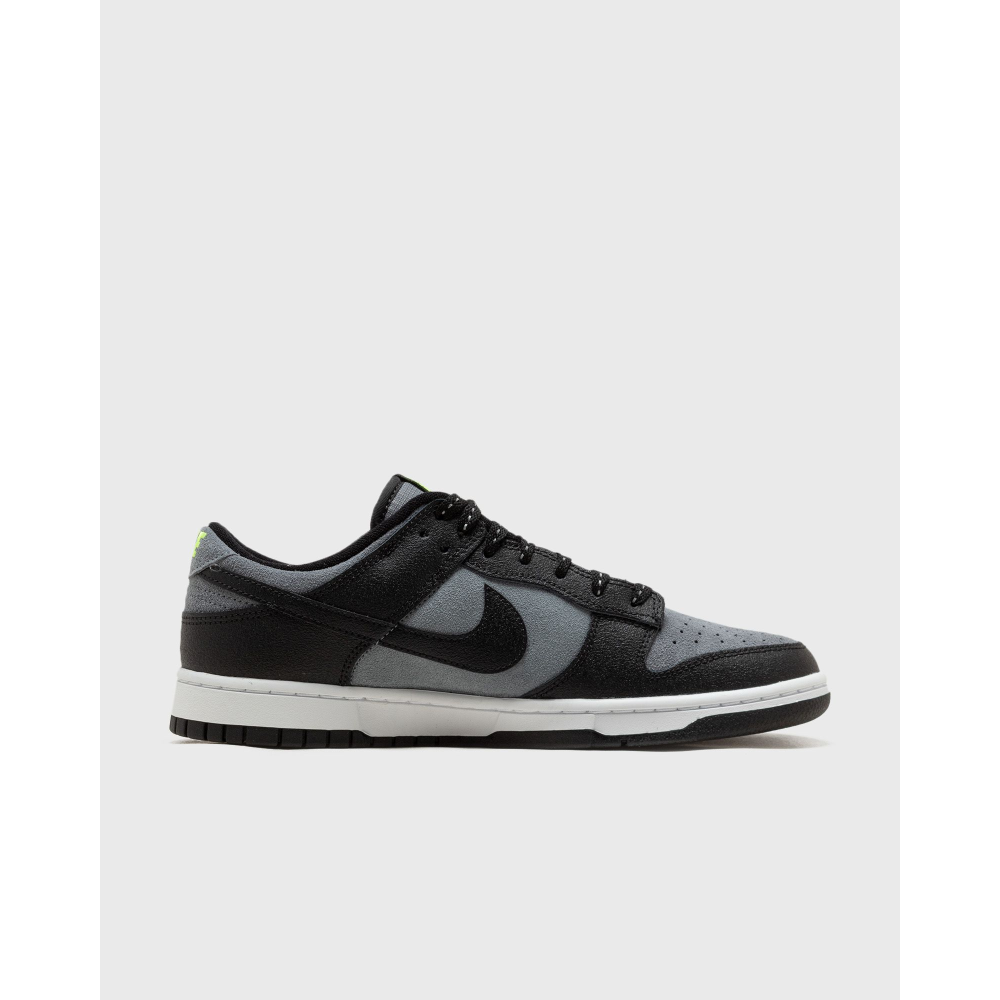 Nike Dunk Low FQ2205-001 / grau