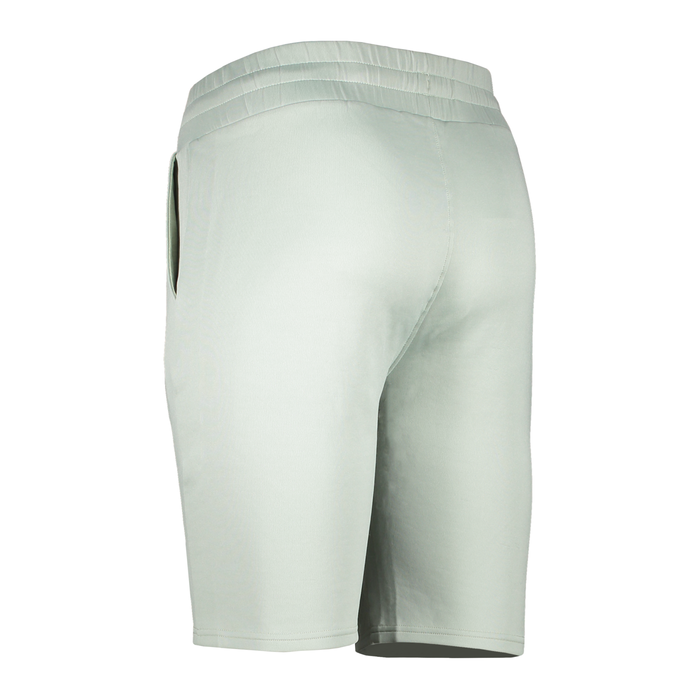 FILA CLEMSON Regular Short Grün F60002