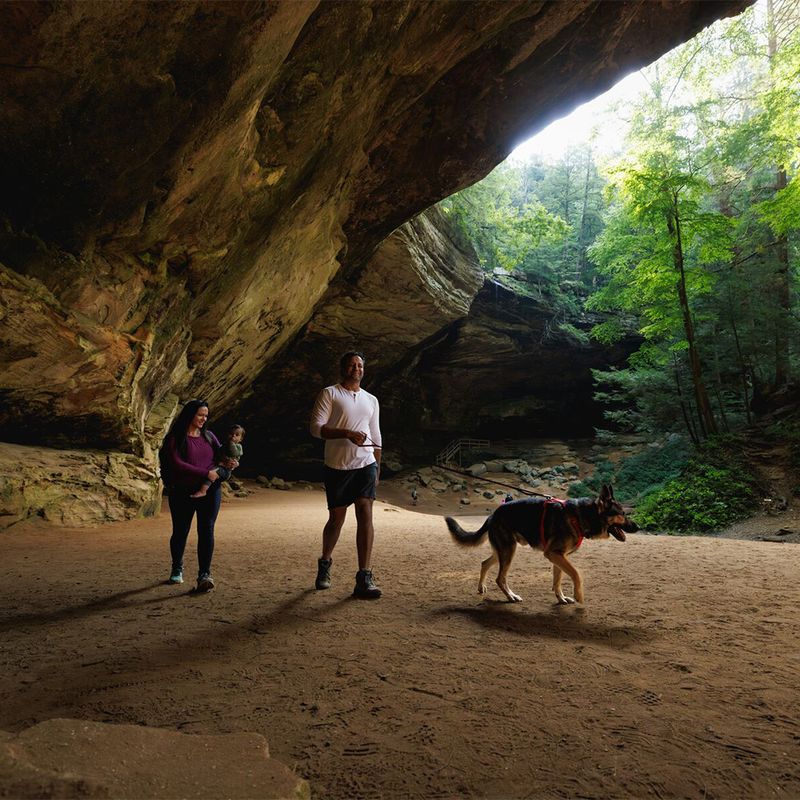 Ruffwear Front Range Hundegeschirr, Red Canyon