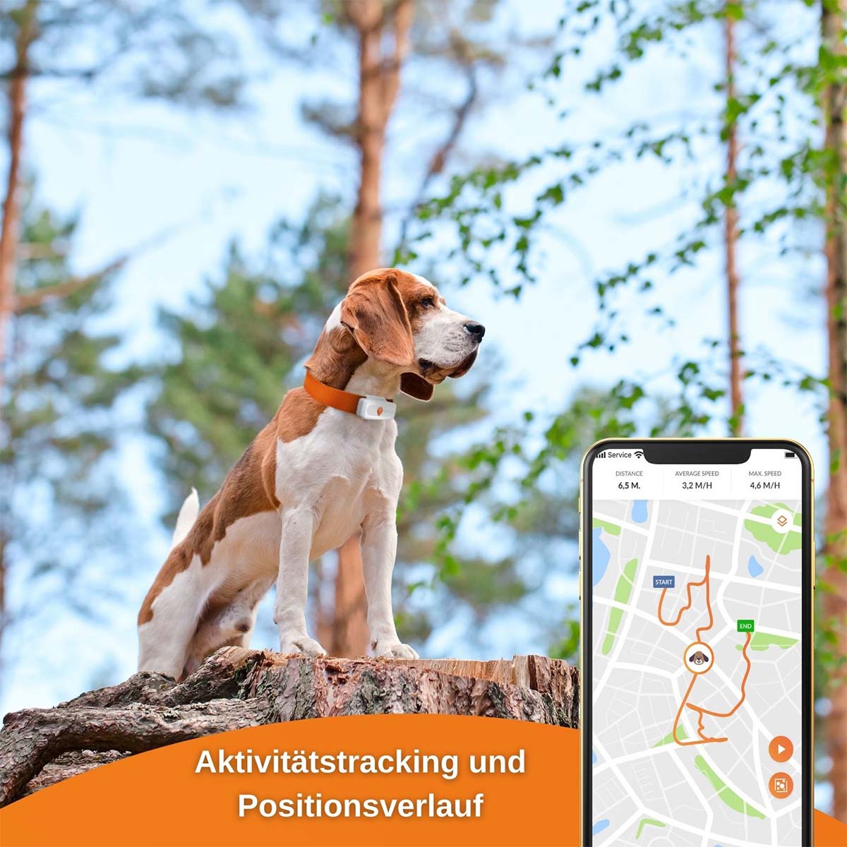 Weenect XS GPS Tracker für Hunde günstig kaufen bei ZooRoyal