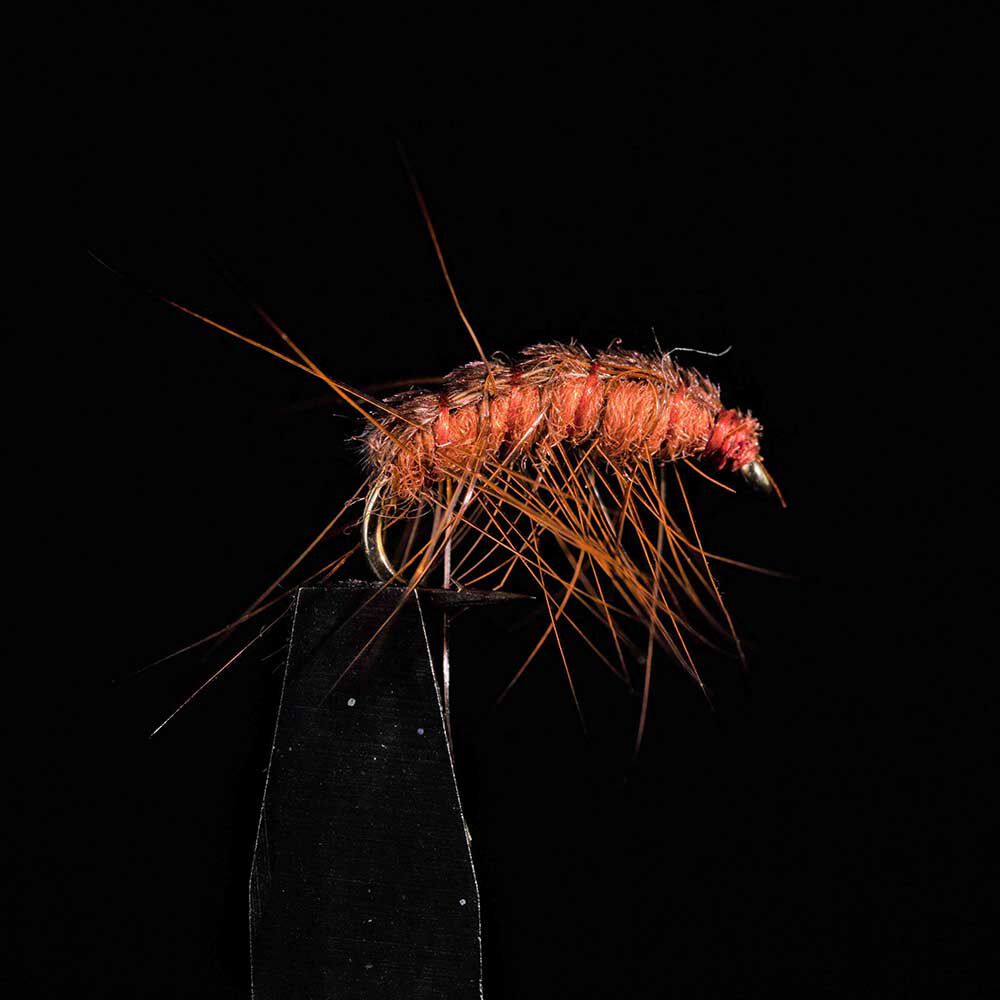 Gammarus JMC BM22 H14 (x3)
