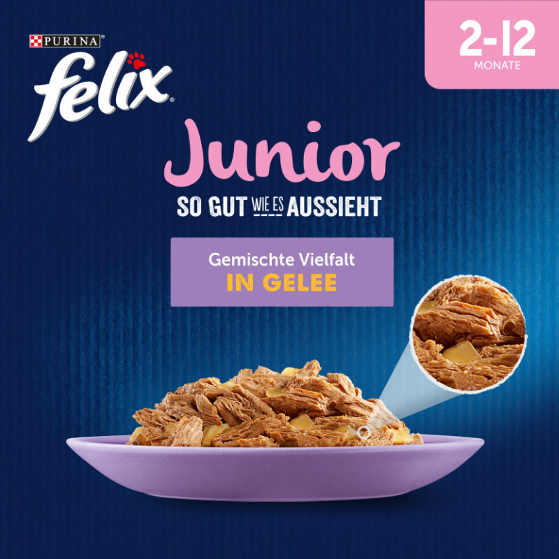 Felix Nassfutter Felix So gut wie es aussieht Junior 12x85g