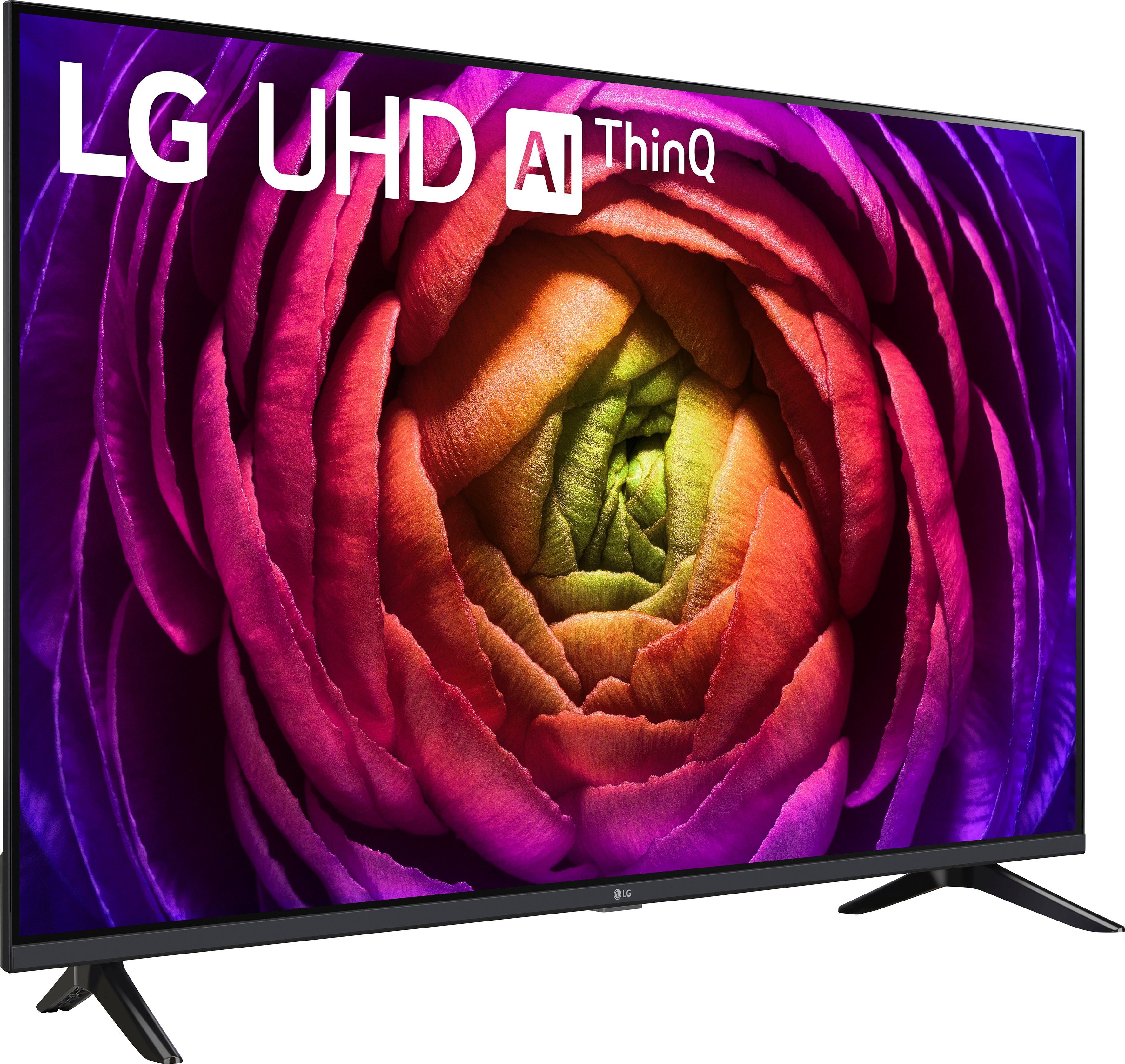 LG 65UR73006LA LCD-LED Fernseher (164 cm/65 Zoll, 4K Ultra HD, Smart-TV, UHD,α5 Gen6 4K AI-Prozessor,Direct LED,AI Sound,WebOS 23)