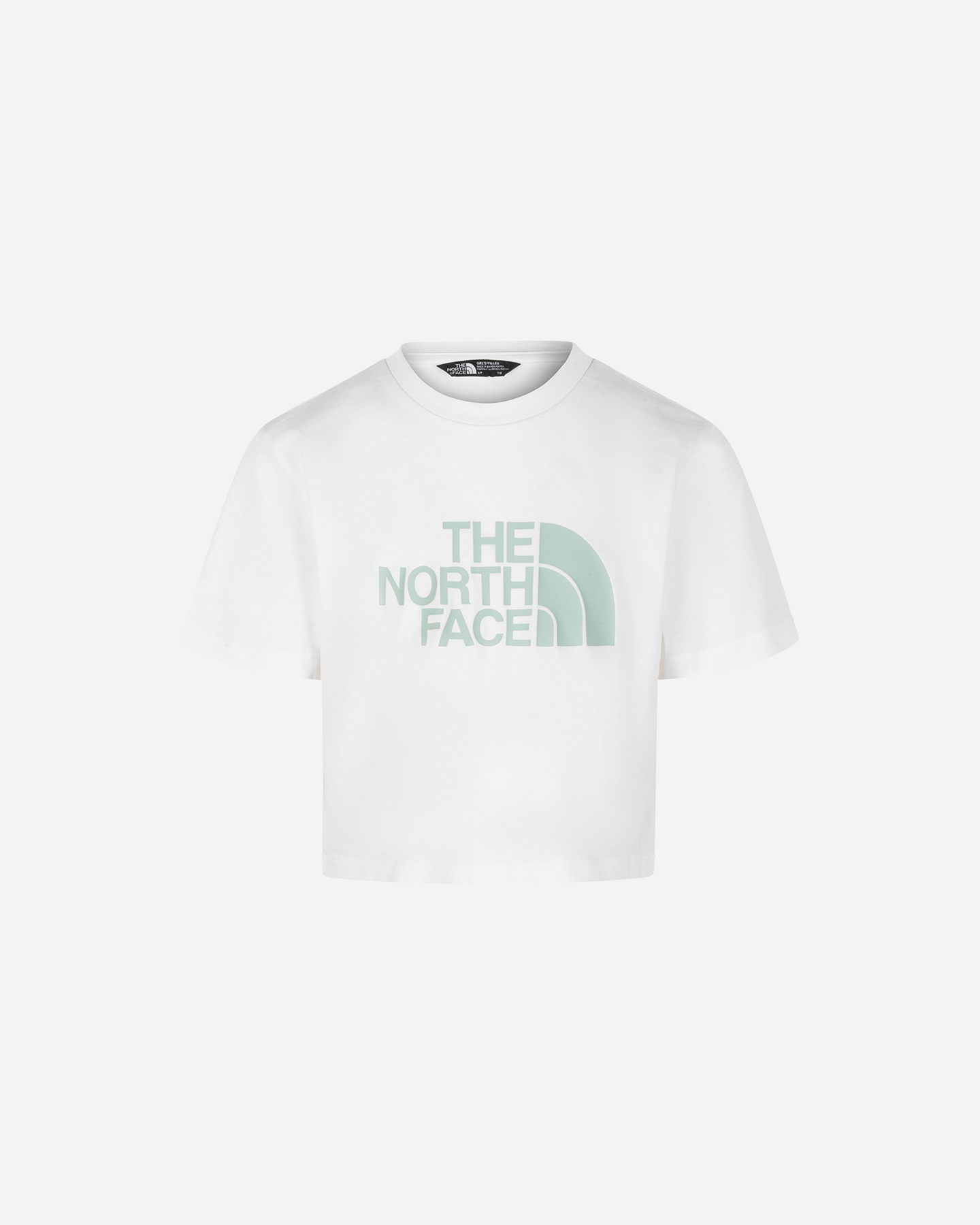 Koszulka The North Face Easy Big Logo Jr NF0A8DRQFN41