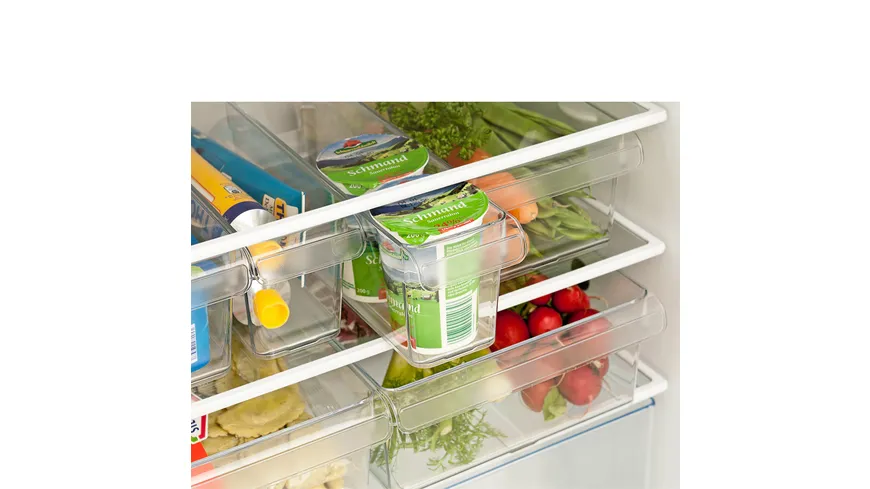rotho Kühlschrankorganizer 1.6 l S LOFT