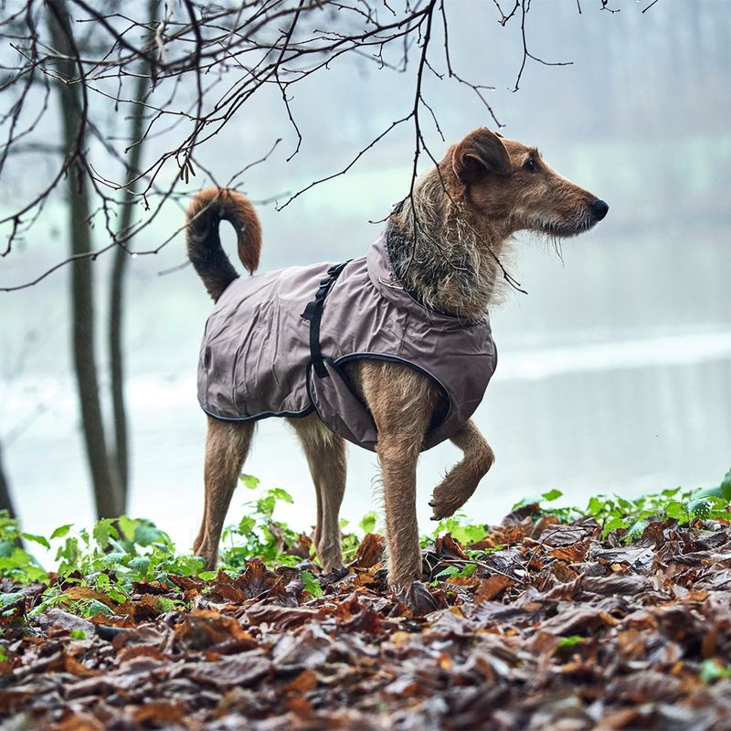 HUNTER Hundemantel Uppsala zu TOP-Preisen