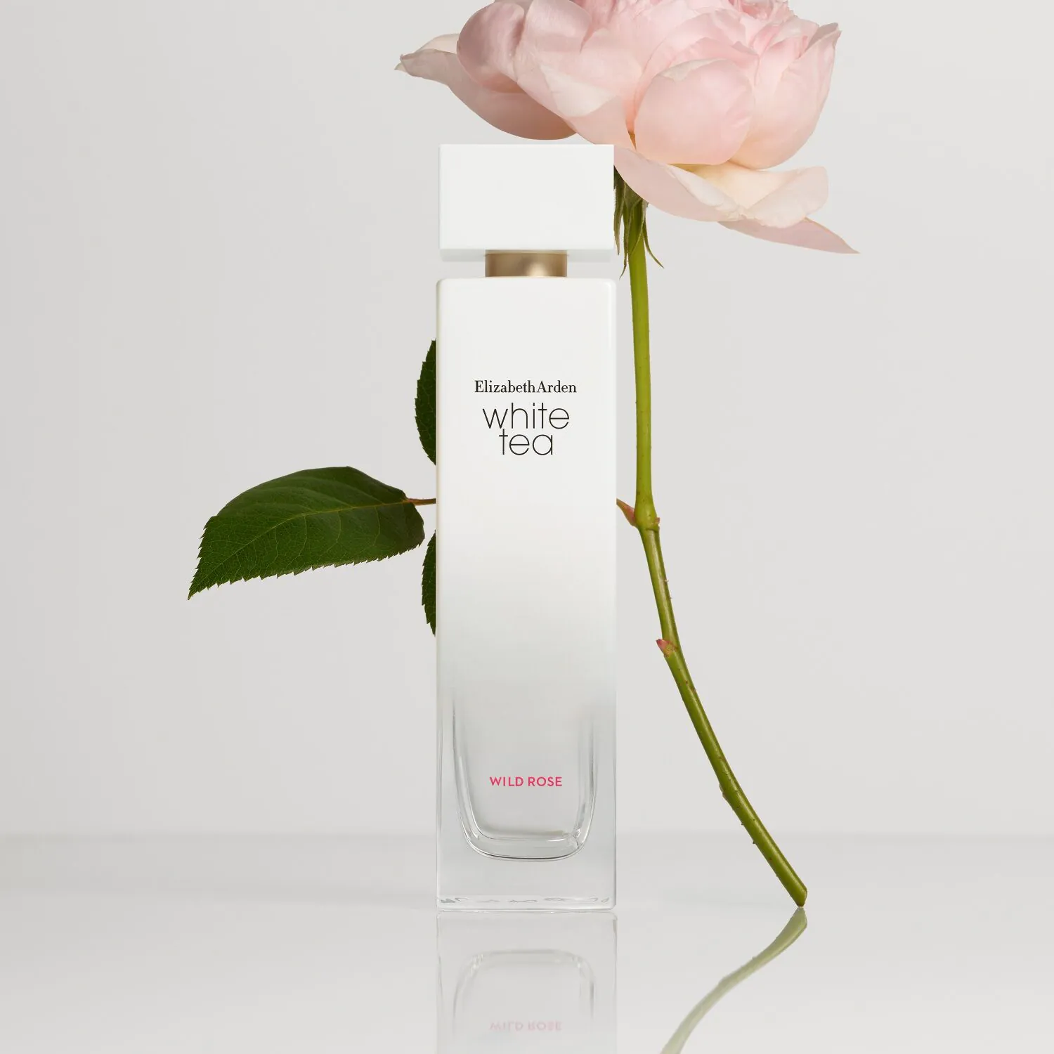 Elizabeth Arden Hvid Te Vild Rose Eau de Toilette til Kvinder 100 ml
