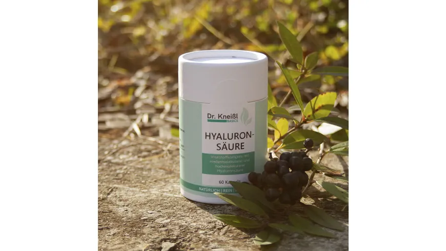 Dr.Kneißl Basics Hyaluronsäure 35 g