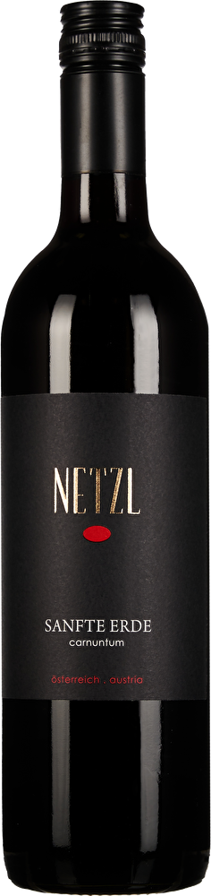 WEIN & CO Carnuntum Probierpaket
