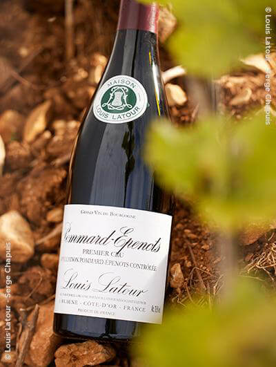 Louis Latour : Pommard 1er cru 