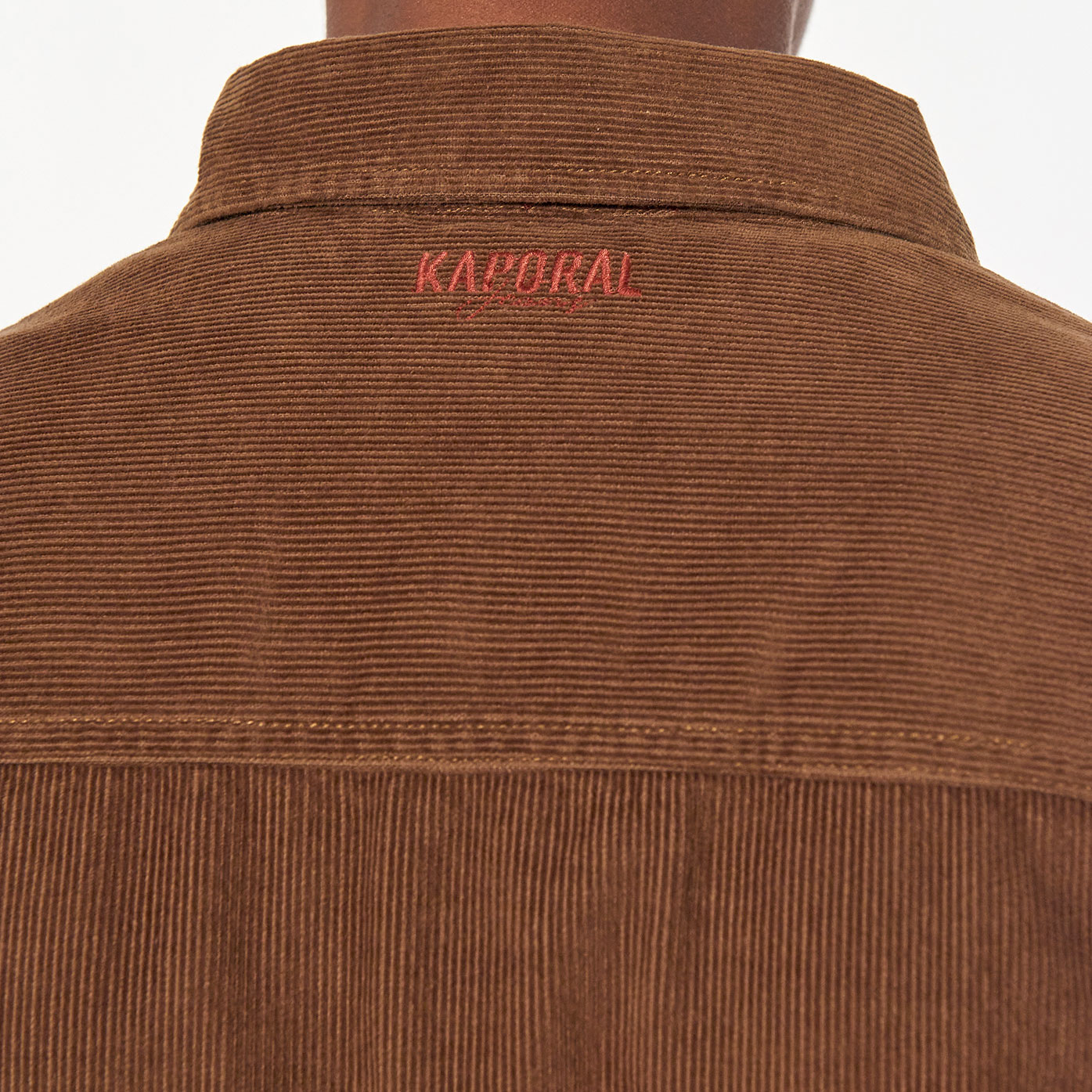 PLUTO  Chemise marron régular Homme en 100% coton