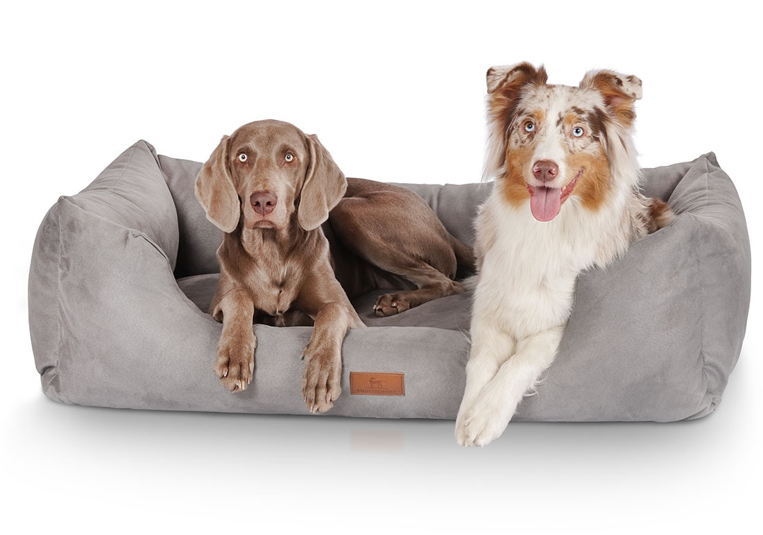 Knuffelwuff Hundebetten Knuffelwuff Hundebett Dreamline aus Velours grau XXL