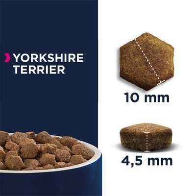 Eukanuba Adult Breed Specific Yorkshire Terrier