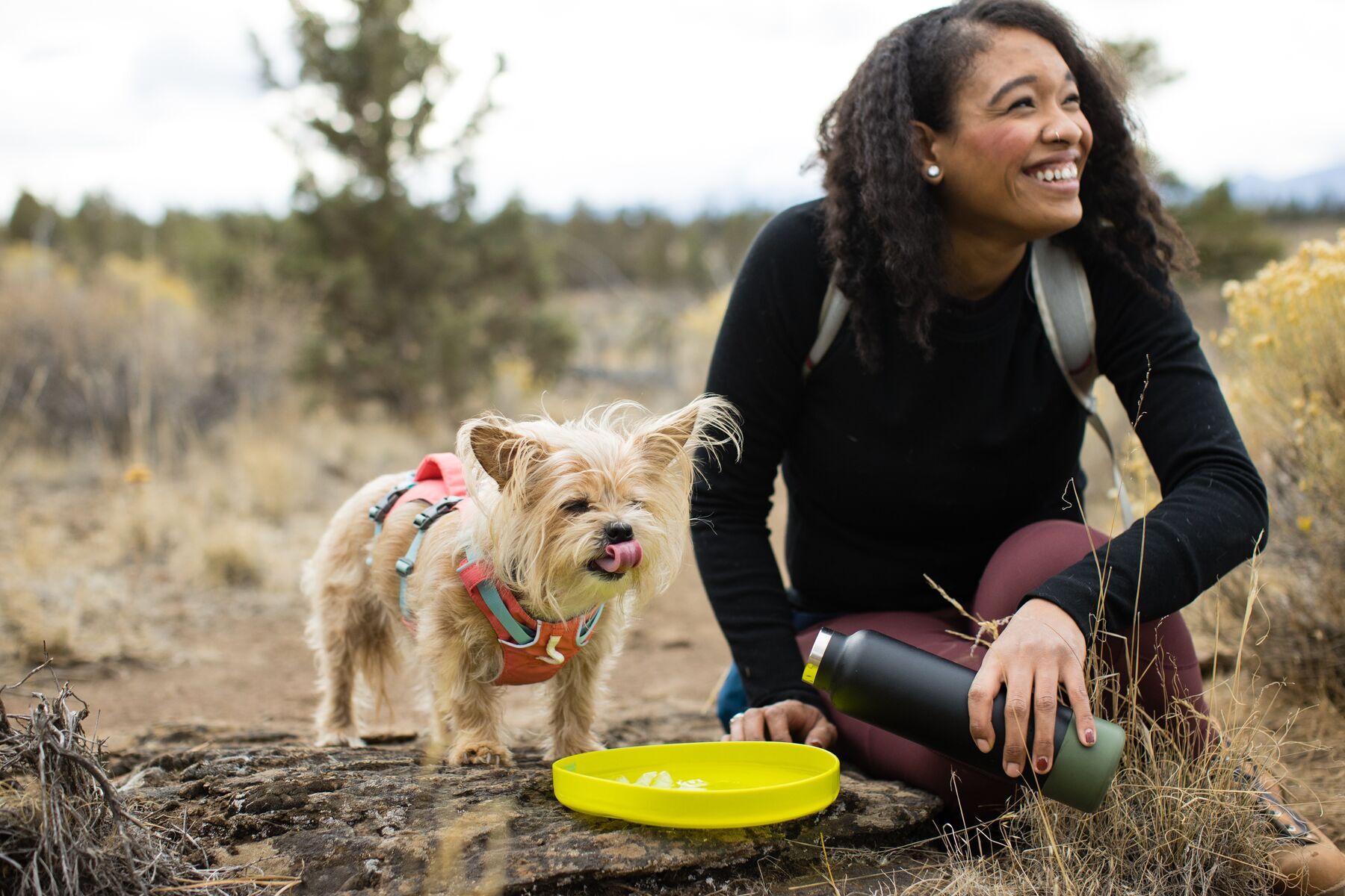 Ruffwear Frisbees & Wurfspielzeug Ruffwear Camp Flyer™ Spielzeug gelb