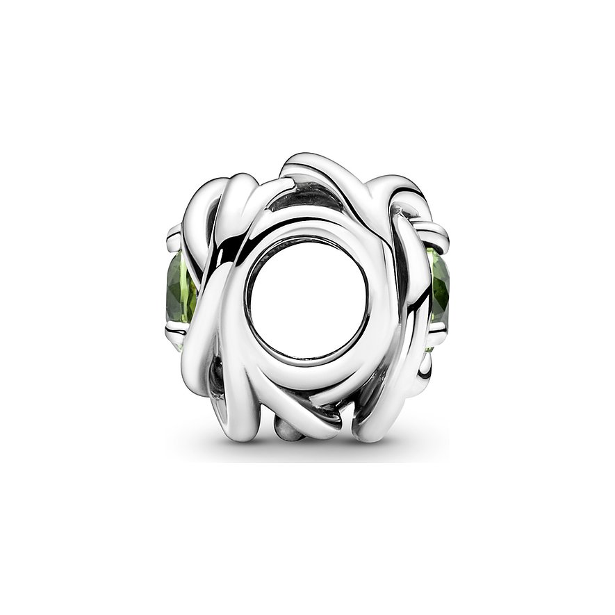 Pandora Charm Moments