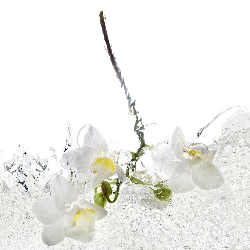 DRUCK-EXPERT Duschrückwand Premium Duschrückwand - langlebiger Fliesensticker aus 0,4 mm selbstklebenden Hart-PVC