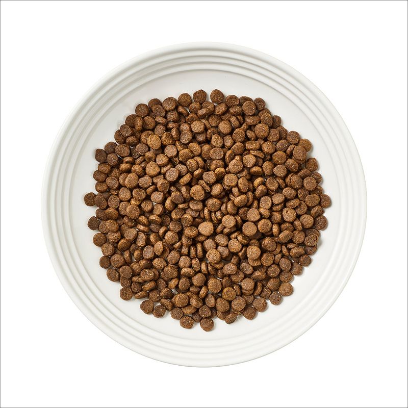 Encore Cat Huhn mit Lachs zu TOP-Preisen