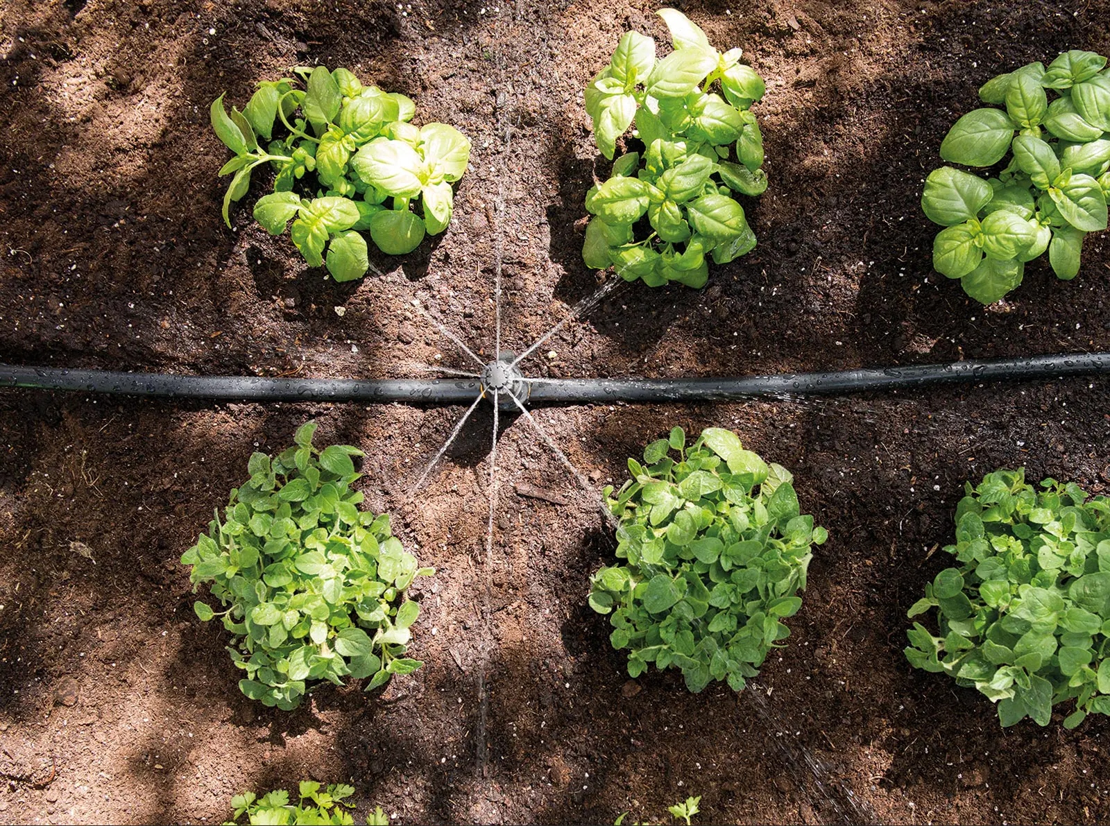 Hozelock 7023 0000 Easy Drip Mini öntözőfej kezdőkészlet