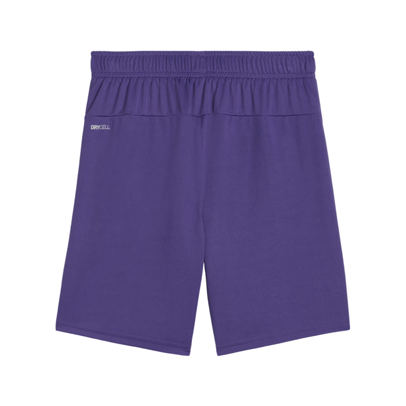 PUMA teamGOAL Short Kids Lila Weiss F10